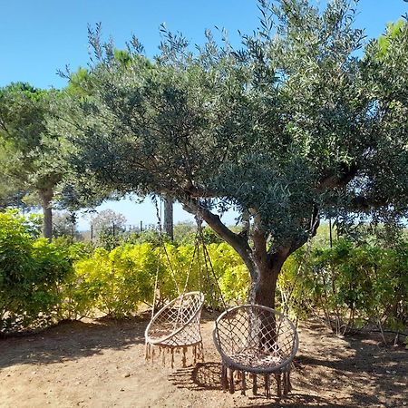 אגריג'נטו Locanda Degli Scrittori מראה חיצוני תמונה